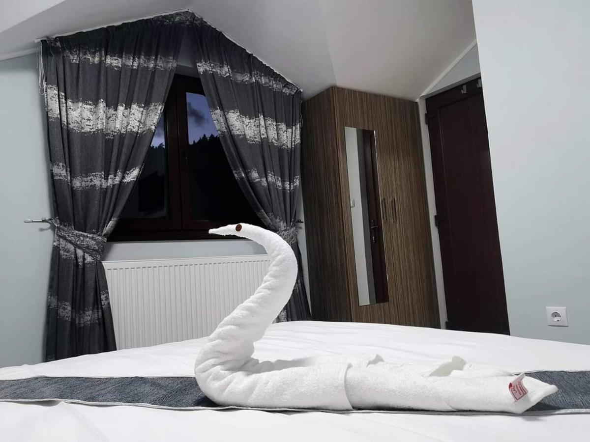 Casa Cizi Hotel Călimăneşti Eksteriør billede