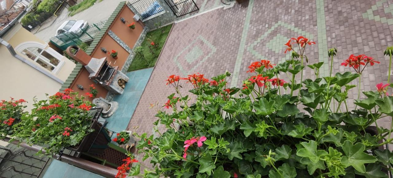 Casa Cizi Hotel Călimăneşti Eksteriør billede