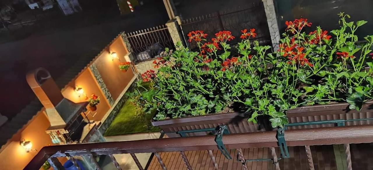 Casa Cizi Hotel Călimăneşti Eksteriør billede