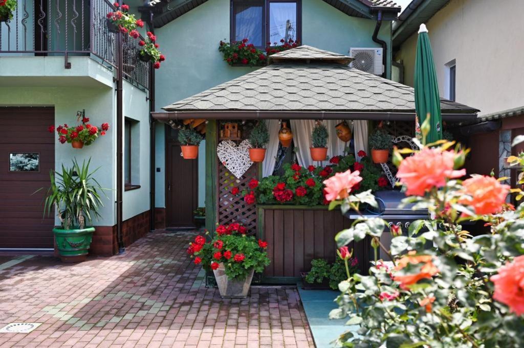 Casa Cizi Hotel Călimăneşti Eksteriør billede