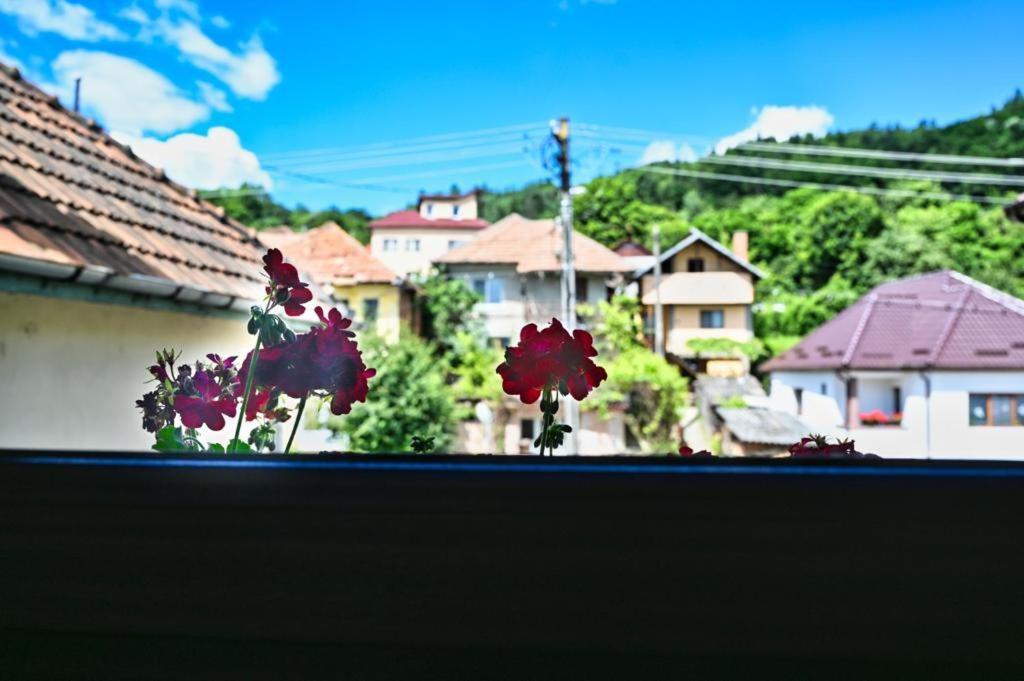 Casa Cizi Hotel Călimăneşti Eksteriør billede